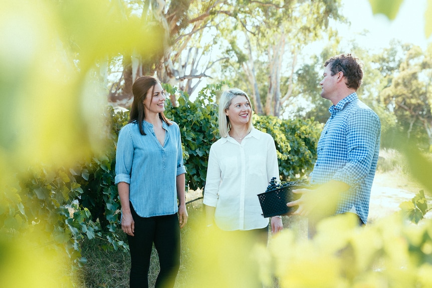 Three people standing in a vineyard talking to each other.