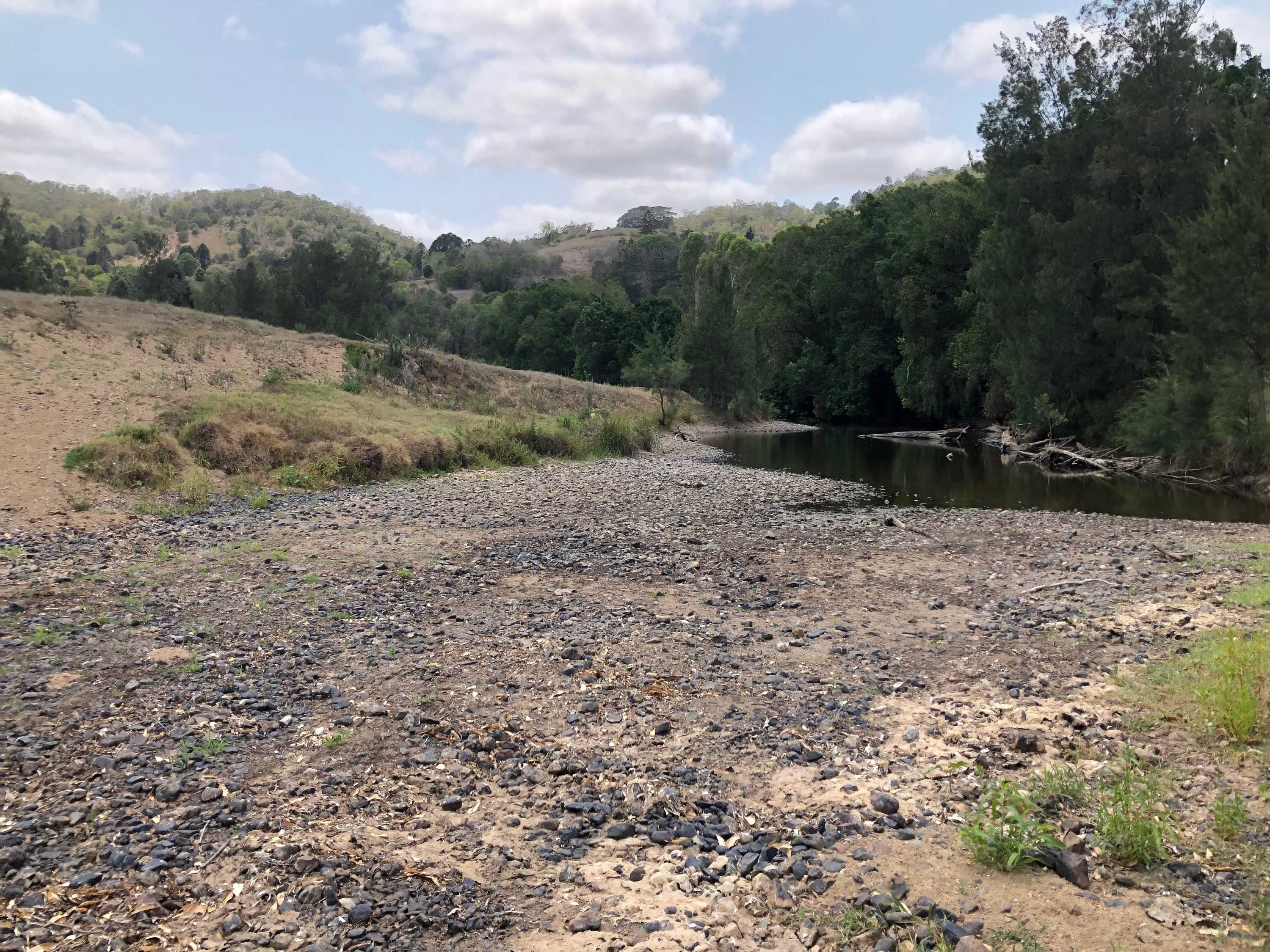 Drought forces dairy farmer to slaughter cows, industry says milk
