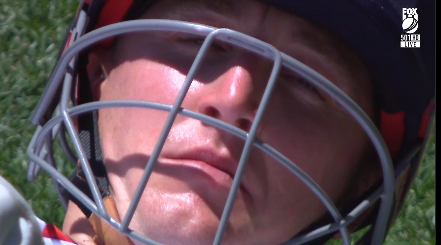 Brook tira uma soneca 2