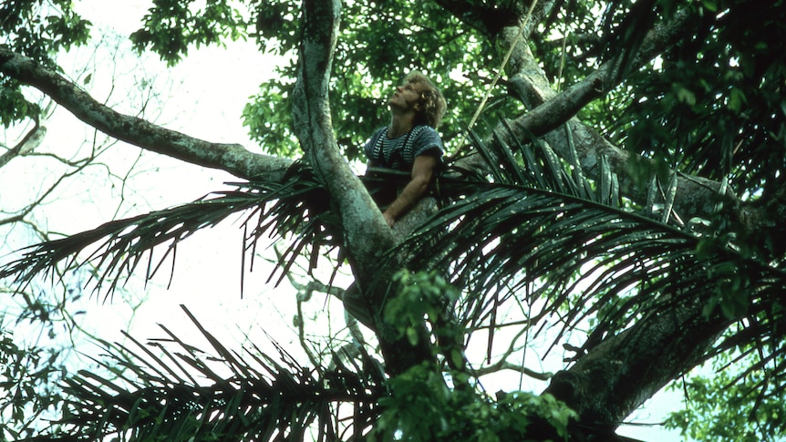 a man up a tree in a jungle