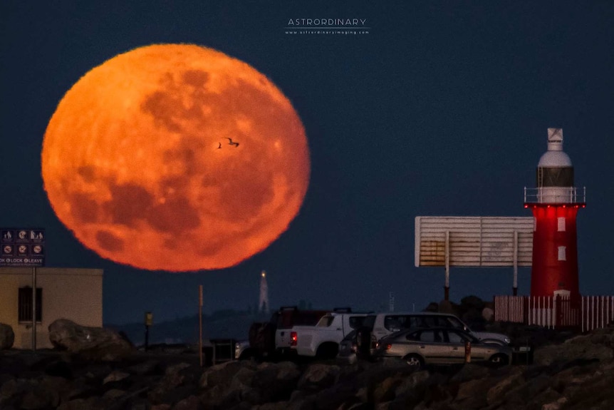 A supermoon rises behind a lighthouse in Fremantle.