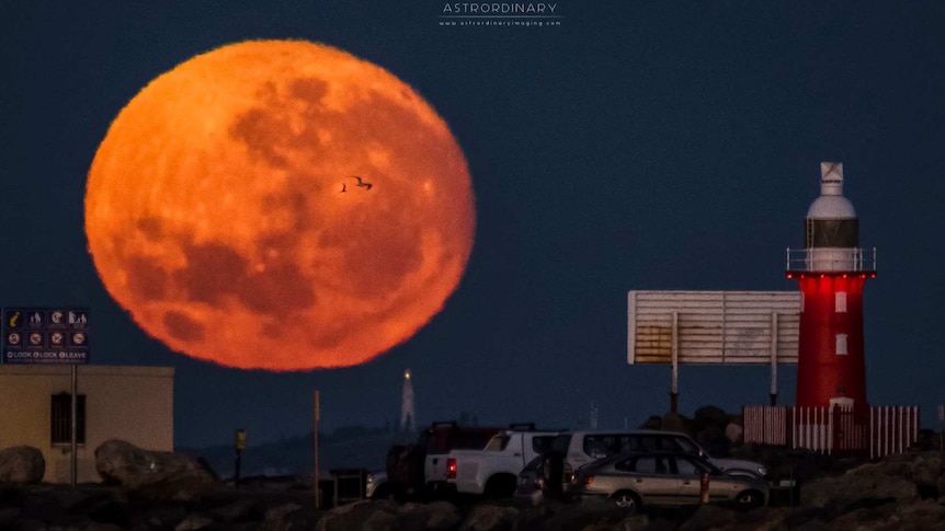 A supermoon rises behind a lighthouse in Fremantle.