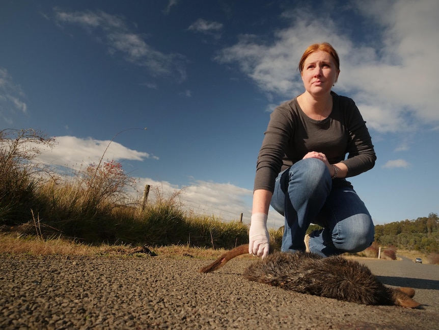 A woman looking ahead while crouched on a road, holding the tail of a dead quoll.