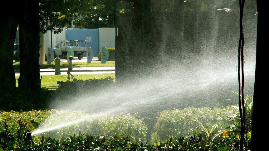 A garden sprinkler sprays over plants with a boy walking on lawn and a car in the far background.