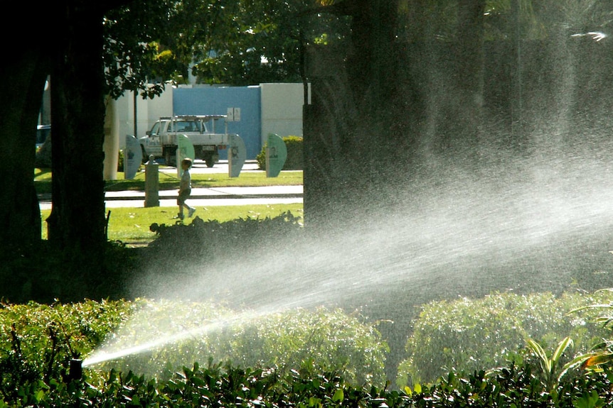 A garden sprinkler sprays over plants with a boy walking on lawn and a car in the far background.