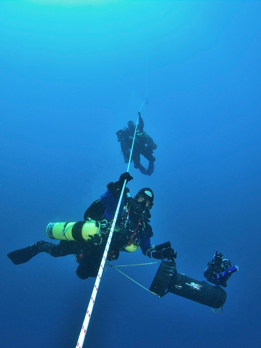 Tasmanian divers hold a line while waiting to decompress