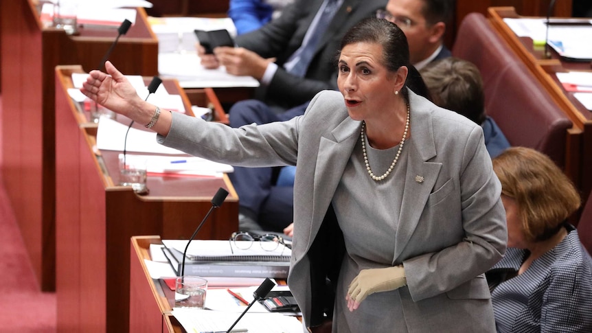 Fierravanti-Wells is on her feet in the Senate chamber with her right arm raised.