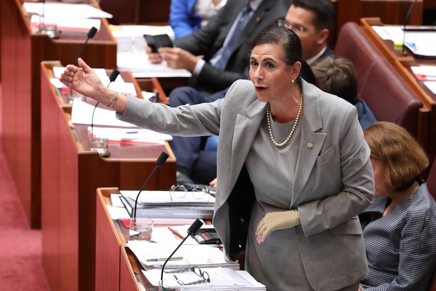 Fierravanti-Wells is on her feet in the Senate chamber with her right arm raised.