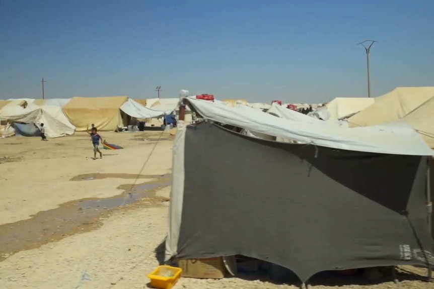 Young boy with kite in al-Hawl