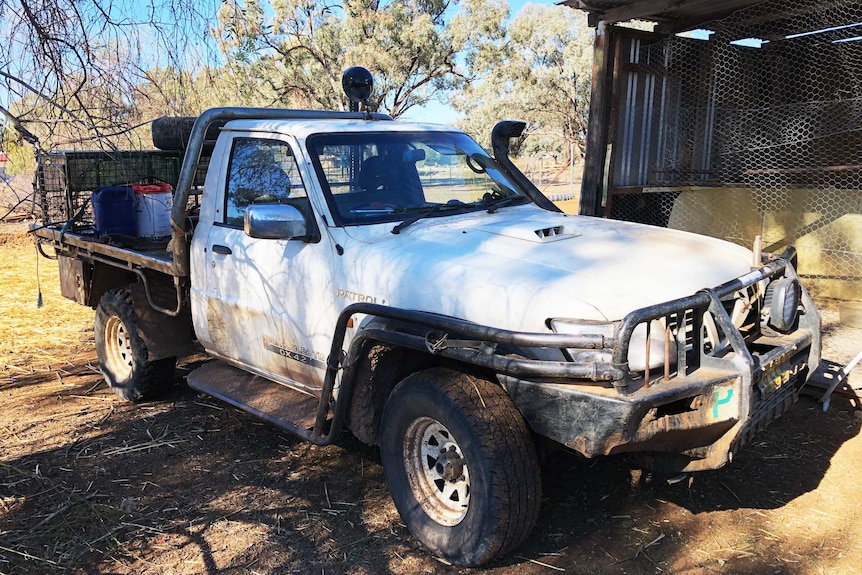 A tray backed utility with a bull bar and P plate on the front and hunting equipment on the back.