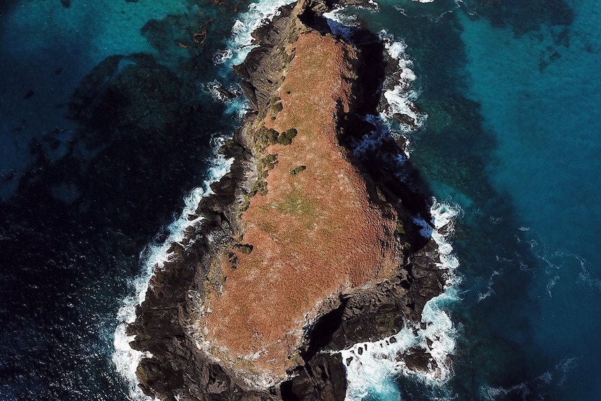 Lord Howe Island