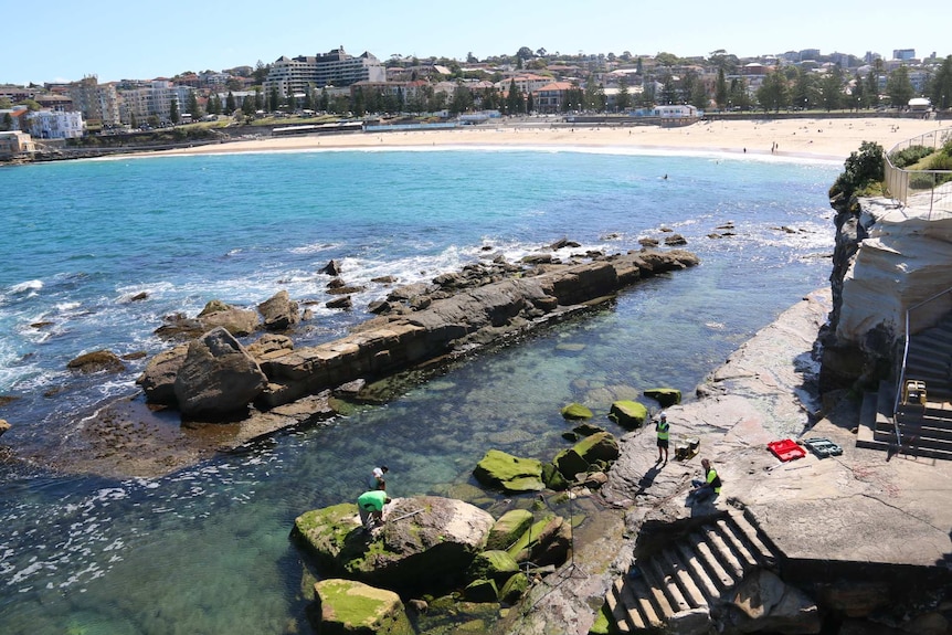 Workers start the process of moving a large rock at Coogee
