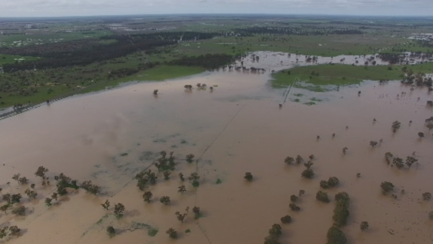 An aerial shot of flooded farms in central western NSW.