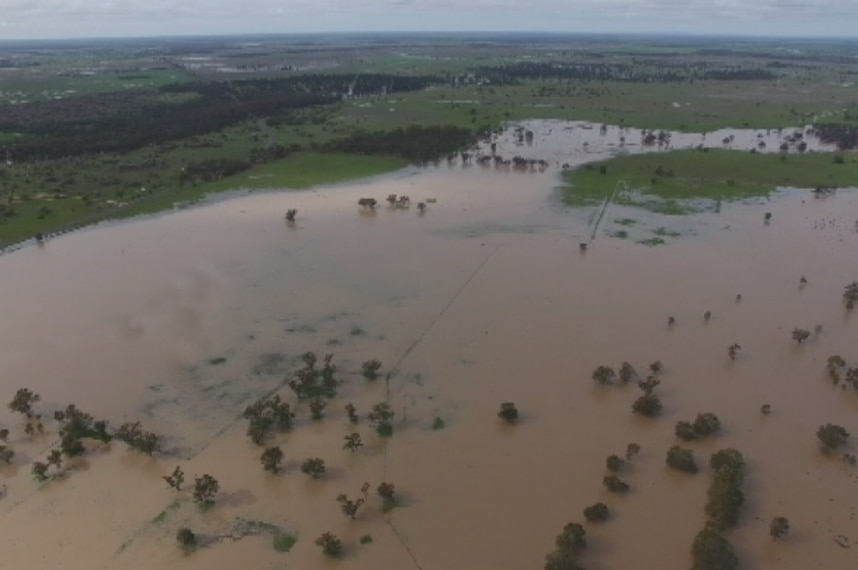 An aerial shot of flooded farms in central western NSW.