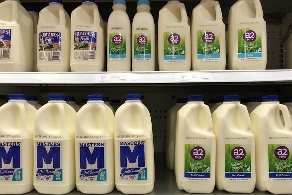 a2 milk on display in stores