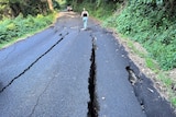A road with cracks in it