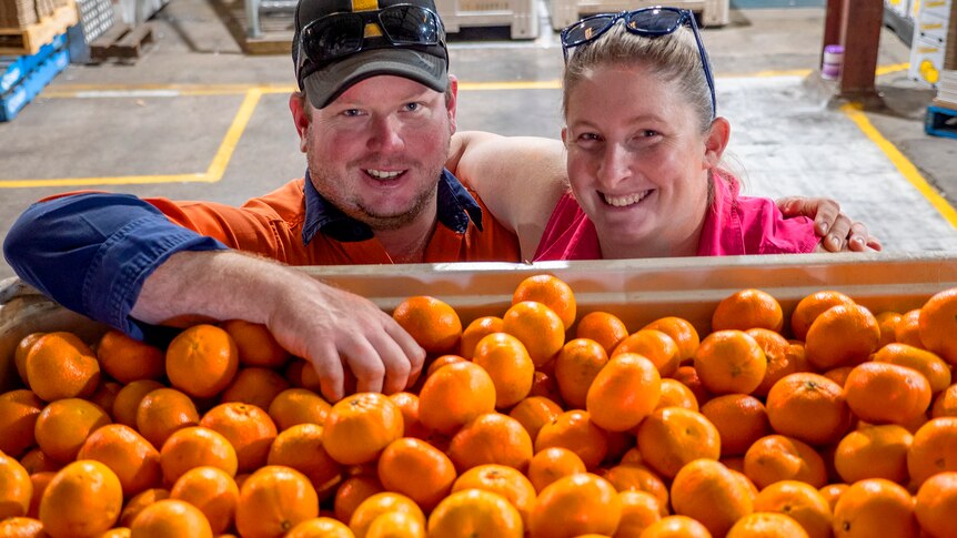 A man and woman stand behind a bin of mandarins.