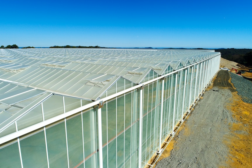 A huge greenhouse from the outside