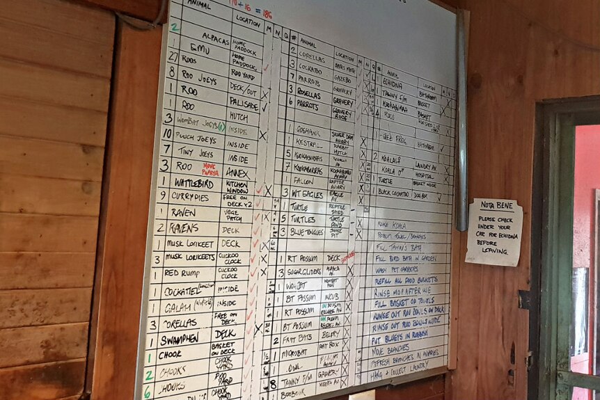 Whiteboard with a list of animal patients currently staying at the wildlife shelter