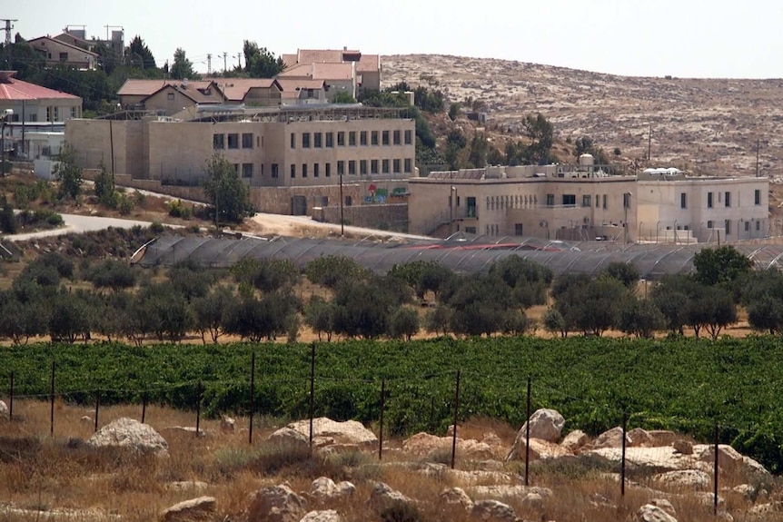 Israeli Susiya