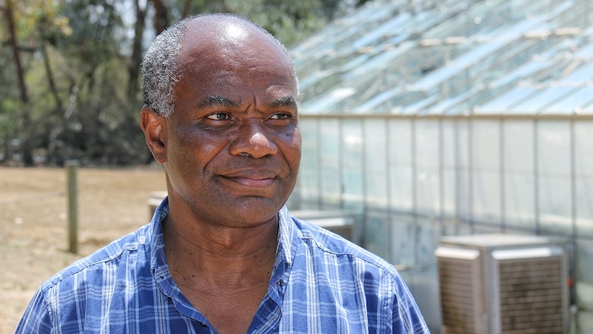 Evans Lagudah stands in front of a destroved glasshouse.