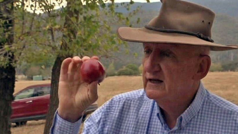 Tim Fischer says an apple kept him going overnight while in the bush.