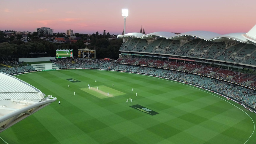 View of Adelaide Oval from the roof