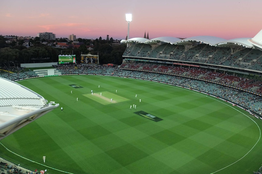 View of Adelaide Oval from the roof