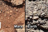 This set of images compares the 'Link' outcrop of rocks on Mars (L) with similar rocks seen on Earth (R).