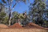 A bmx rider launches off a jump