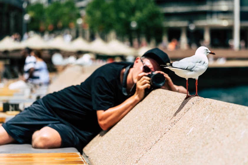 Photographer Andre Braun lying next to a seagull at Circular Quay.