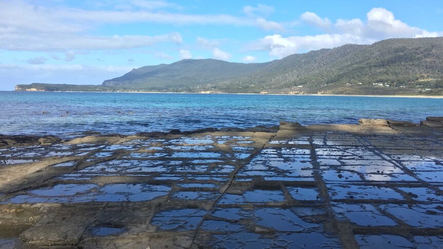 The tessellated pavement, The Neck, Tasmania