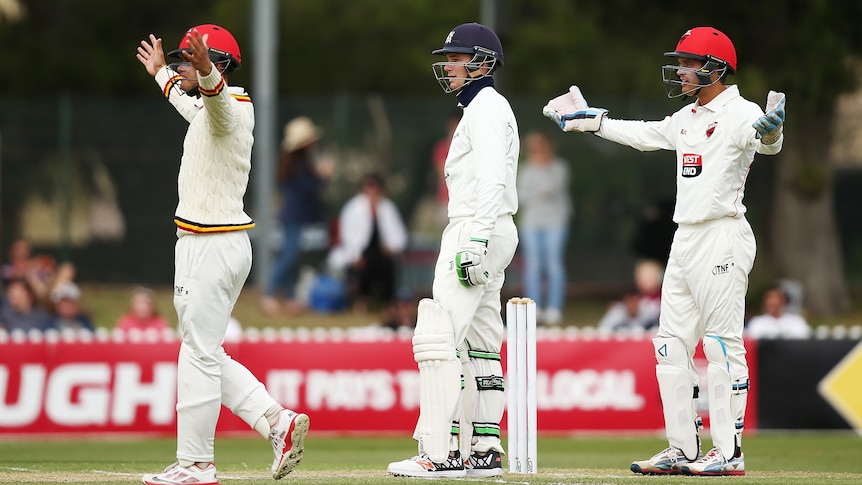 Redbacks players react after Peter Handscomb whacks it to the fence