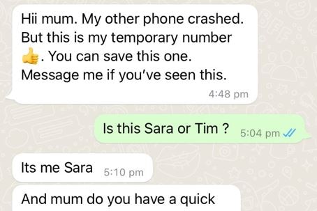 a whatsapp message that says "Hi mum, my other phone crashed.  but this is my temporary number"