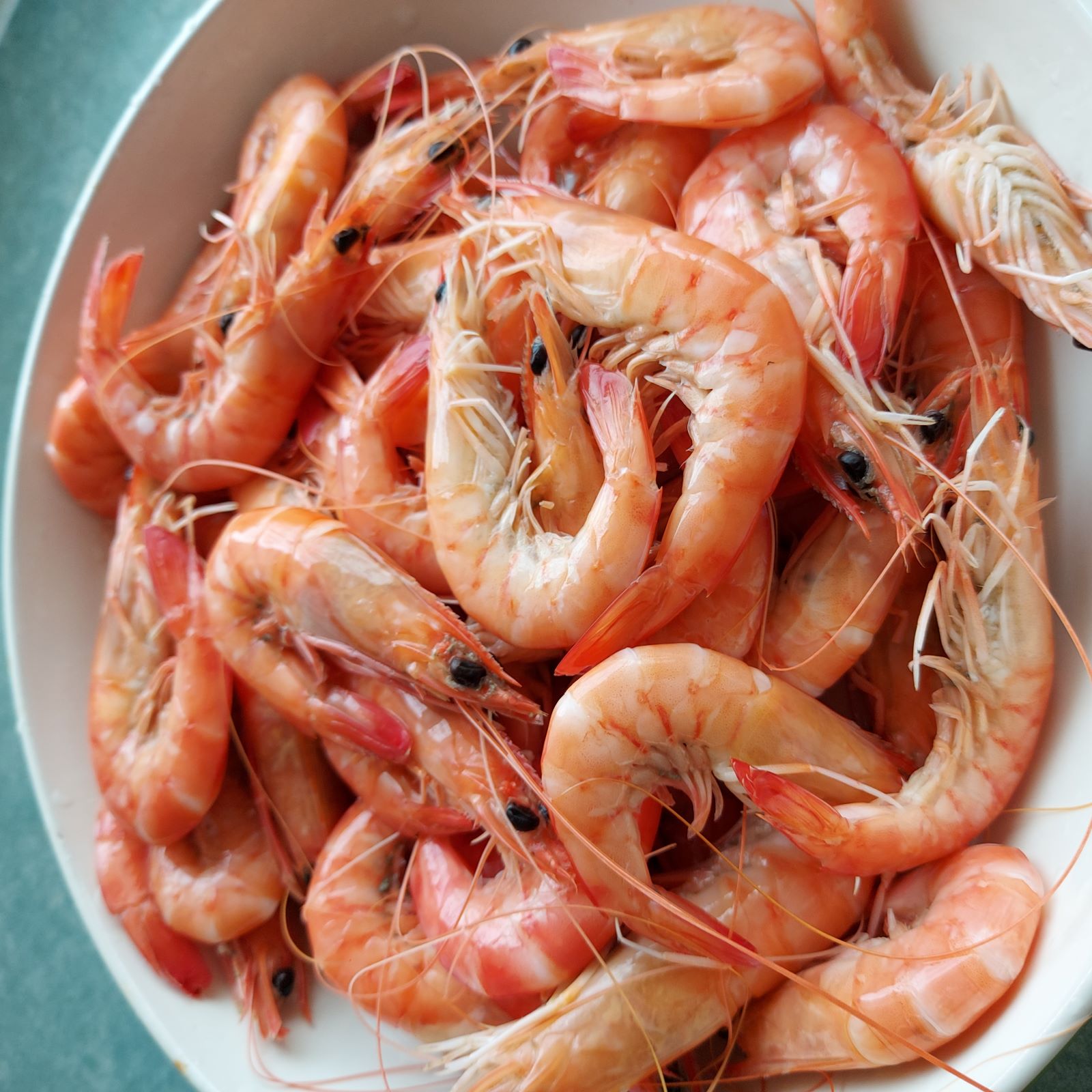 Prawns