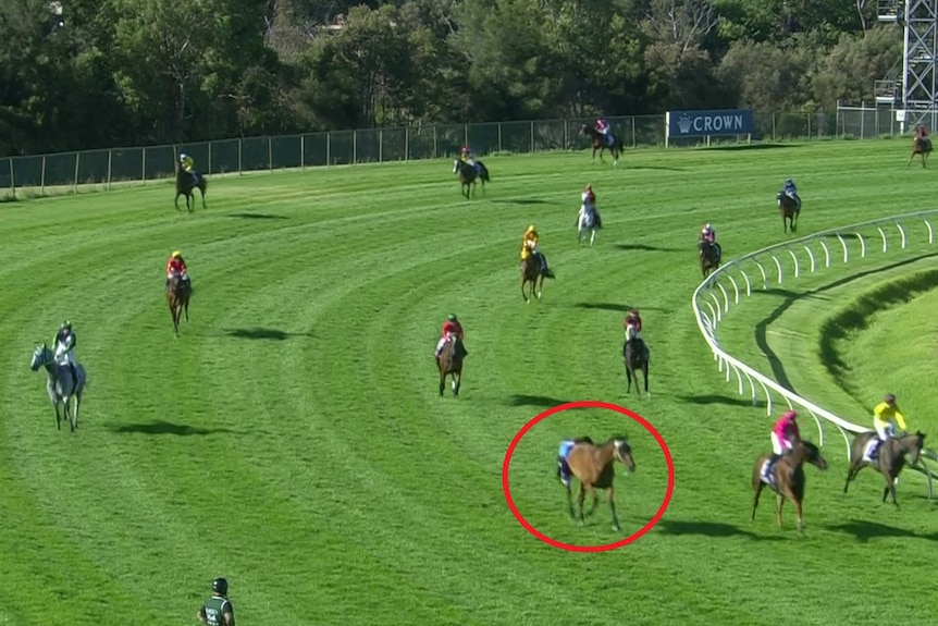 Racehorses scattered around a track after a horse race was abandoned. 