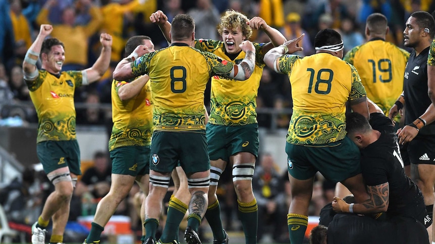 Wallabies players celebrate winning the third Bledisloe Cup match against New Zealand at Lang Park.