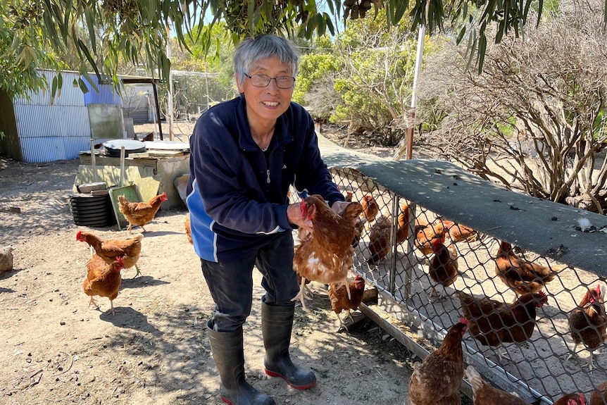 A man wearing blue holding a chicken in his chook yard