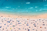 bird's eye view of people lying on a beach next to blue ocean water