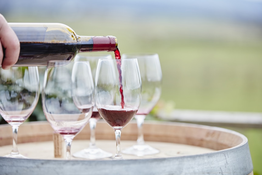 Red wine being poured into several glasses, on top of a wine barrel