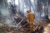 Tasmanian firefighter douses flames in the state's north-west.