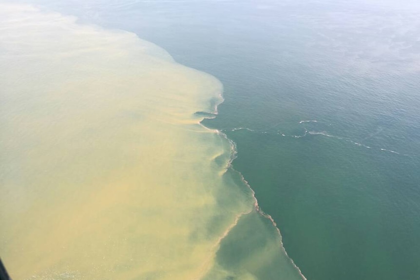 An aerial photograph shows yellowing water meeting blue ocean.