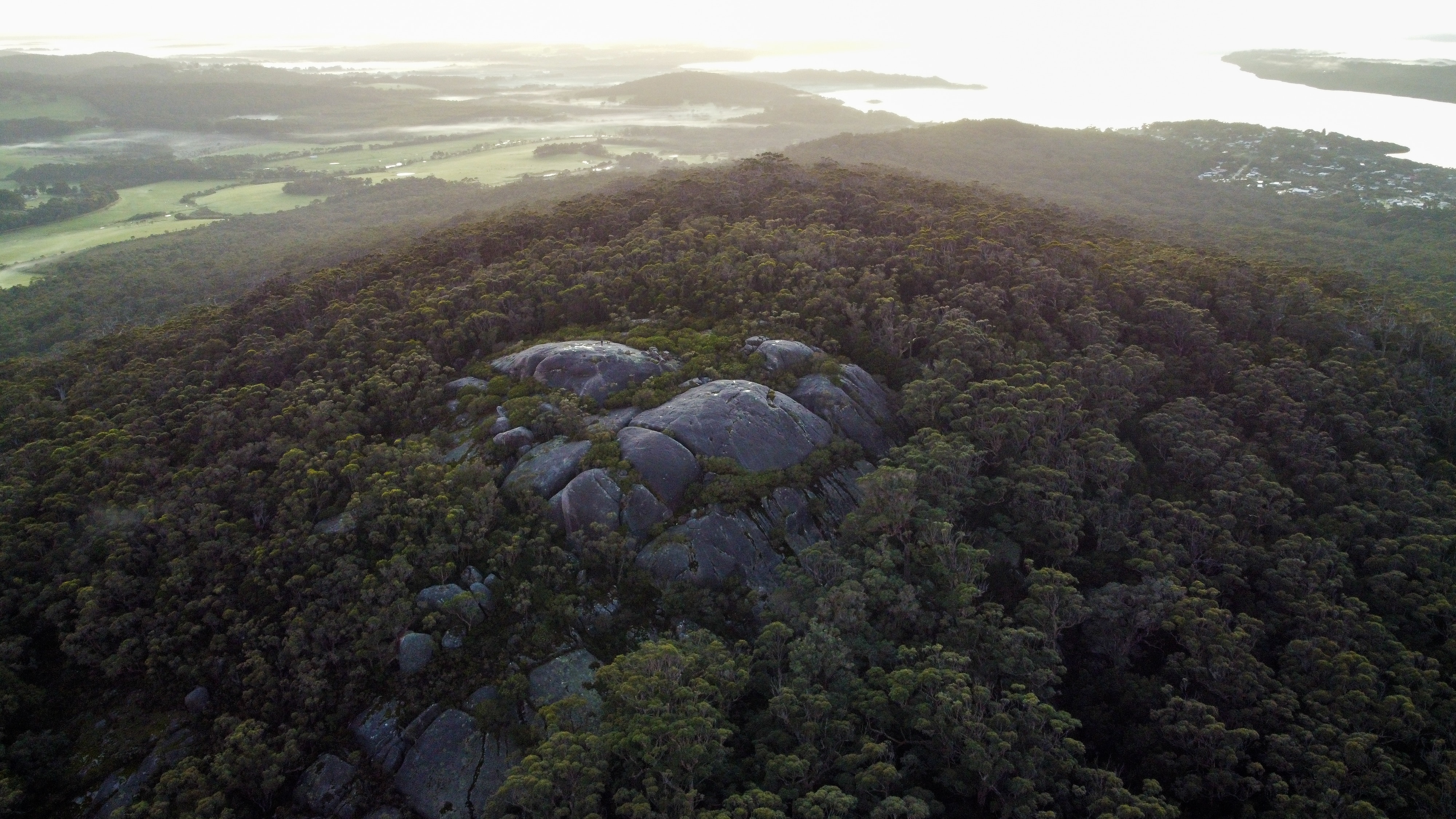 Aeriel view of rocky outcrop surrrounded by tall gum trees