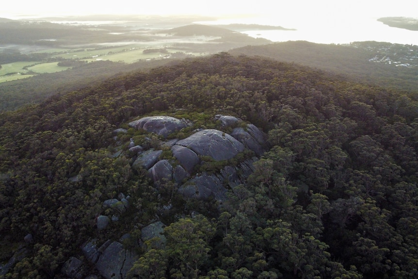 Aeriel view of rocky outcrop surrrounded by tall gum trees