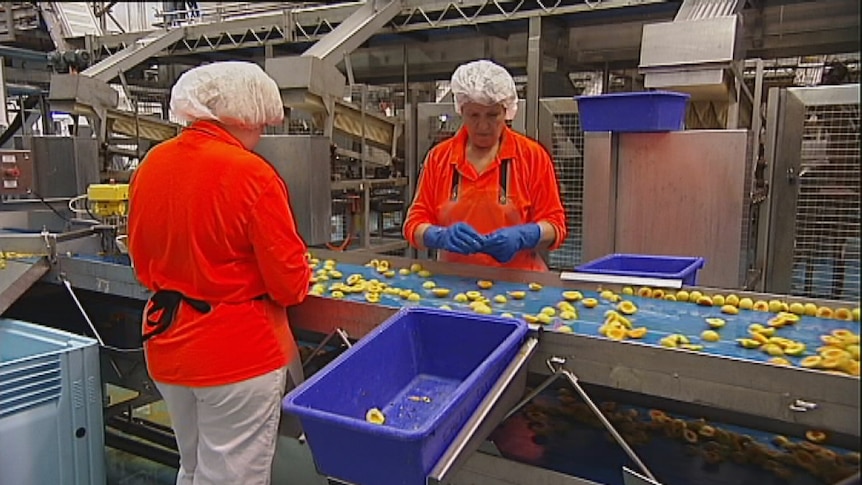 Workers at SPC Ardmona cannery