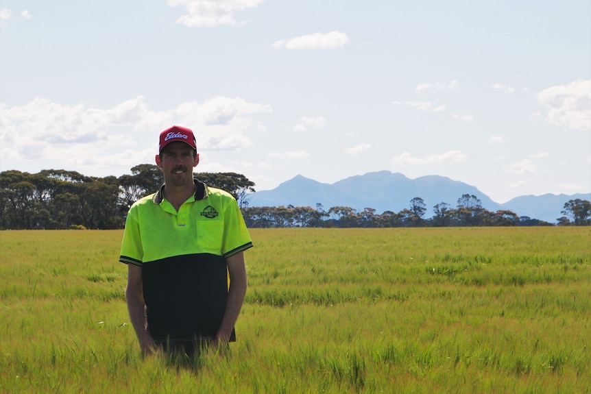 Jeremy Walker in barley