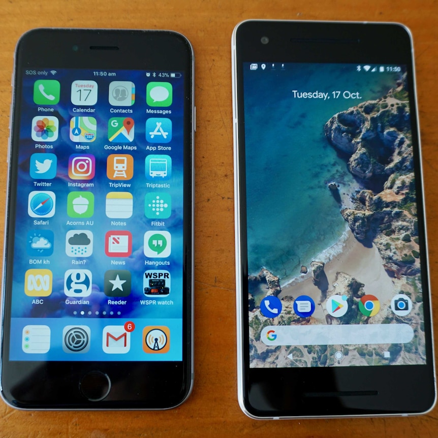 A comparison image of Apple's iPhone (L) and Google's new Pixel 2 phone.