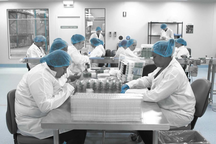 Workers in a high tech company with blue hair nets and gloves
