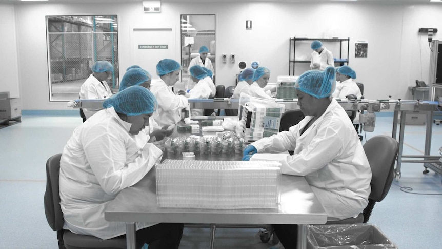 Workers in a high tech company with blue hair nets and gloves