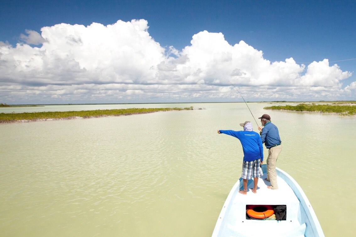 World's best fly fishing destinations ABC listen